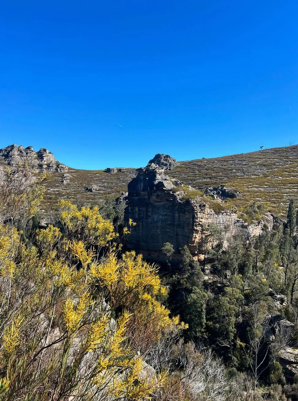 Where is the Lost City in the Blue Mountains